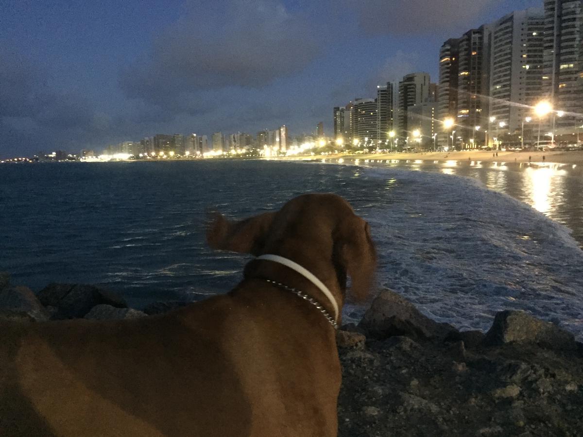 Apartamento Na Melhor Localizacao De Fortaleza!! ภายนอก รูปภาพ
